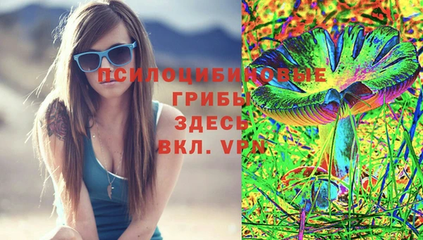 бошки Армянск