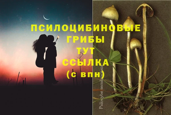 бошки Армянск
