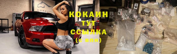 сатива Арсеньев