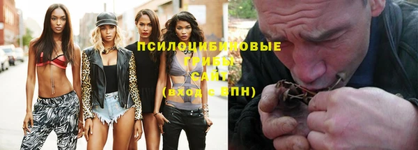 хмурый Балабаново